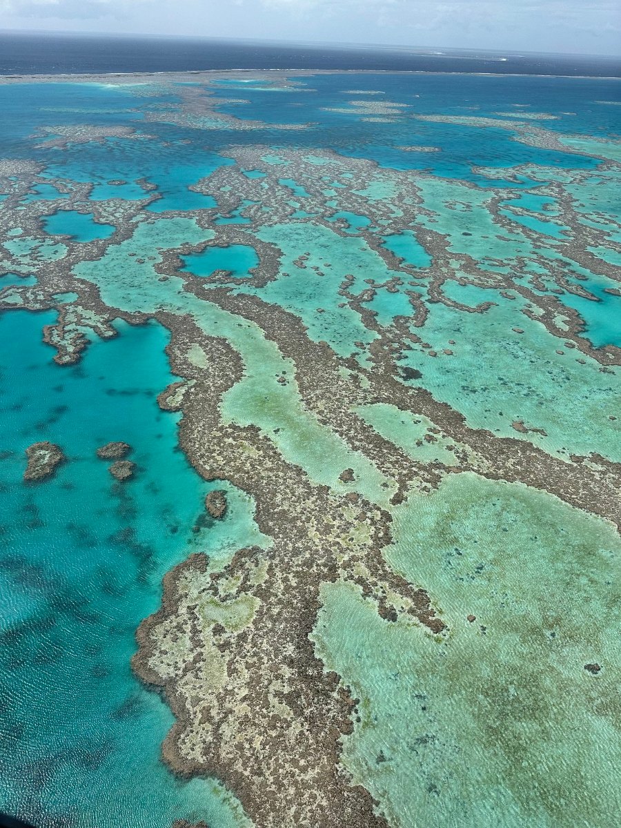 The reef from the air, ridges of brown coral around turquoise lagoons