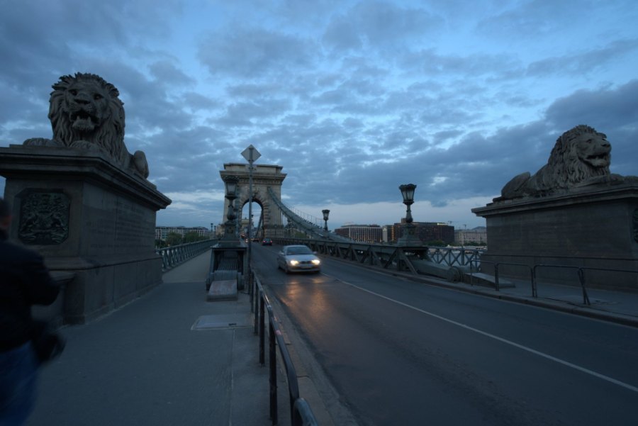 Stone lions at the end of the Chain Bridge as night falls, with a car's headlights on the deck