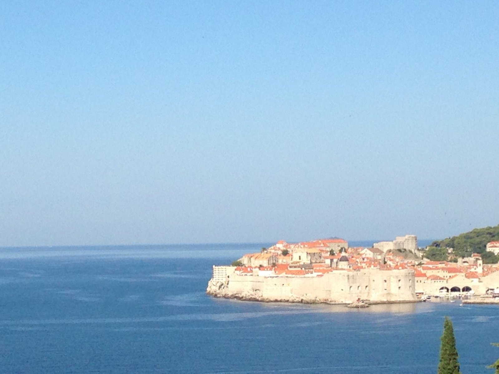 Dubrovnik's old town on its rock in the sea, ringed by its walls, seen across the water from our terrace
