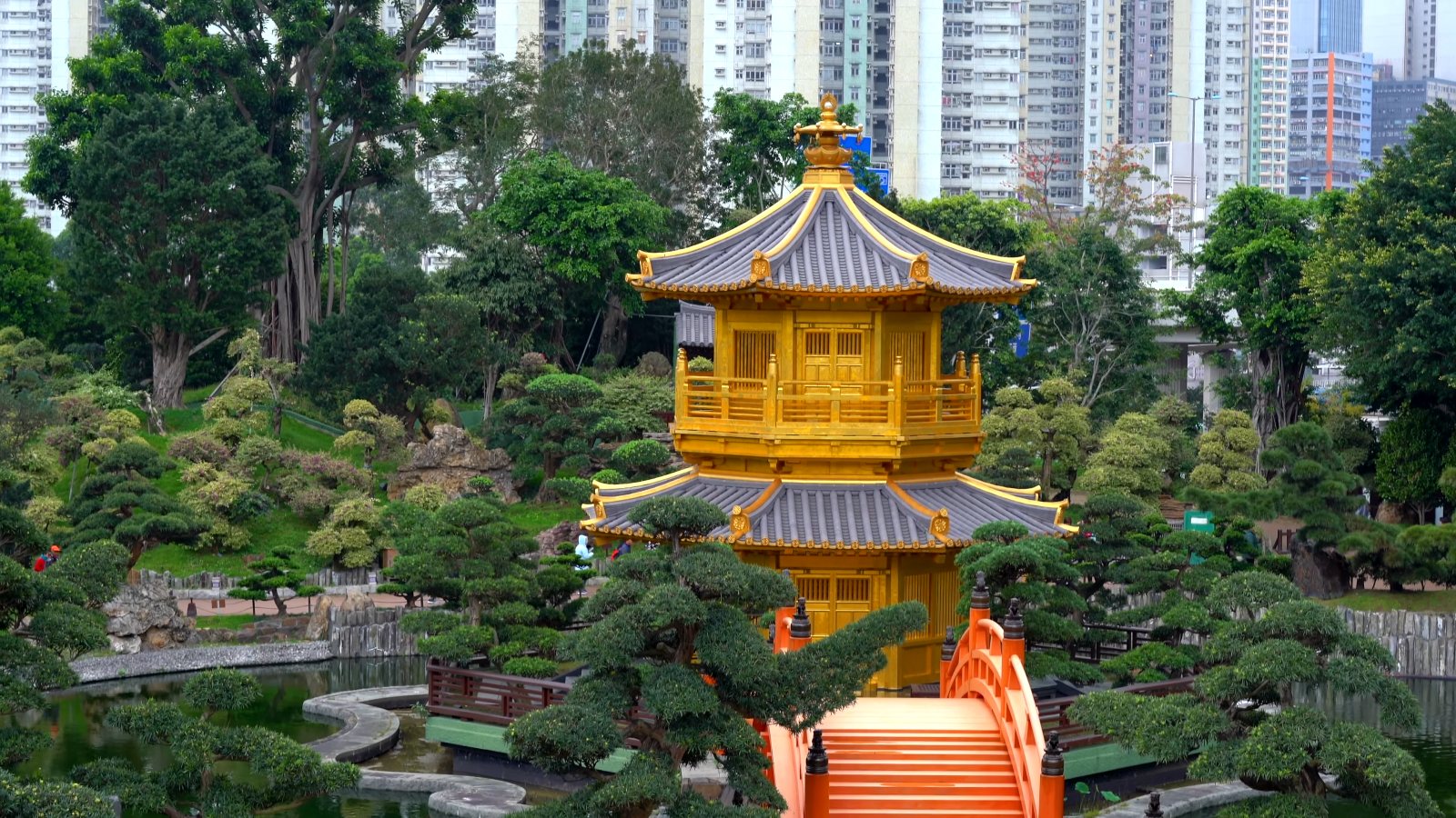 Nan Lian Garden's golden pavilion among clipped pines, with a red bridge and tower blocks behind
