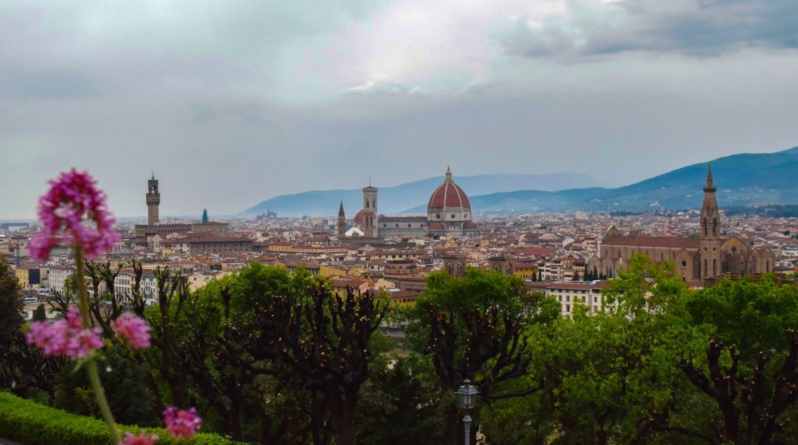Florence under grey cloud from Piazzale Michelangelo, with the Duomo's red dome, Palazzo Vecchio's tower and Santa Croce, and pink flowers in the foreground