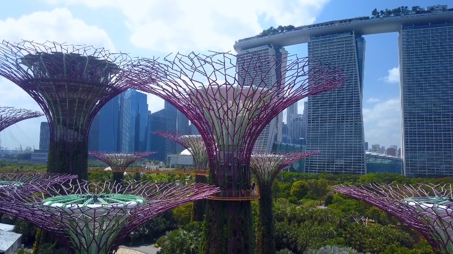 The Supertrees at Gardens by the Bay, with the three towers of Marina Bay Sands behind