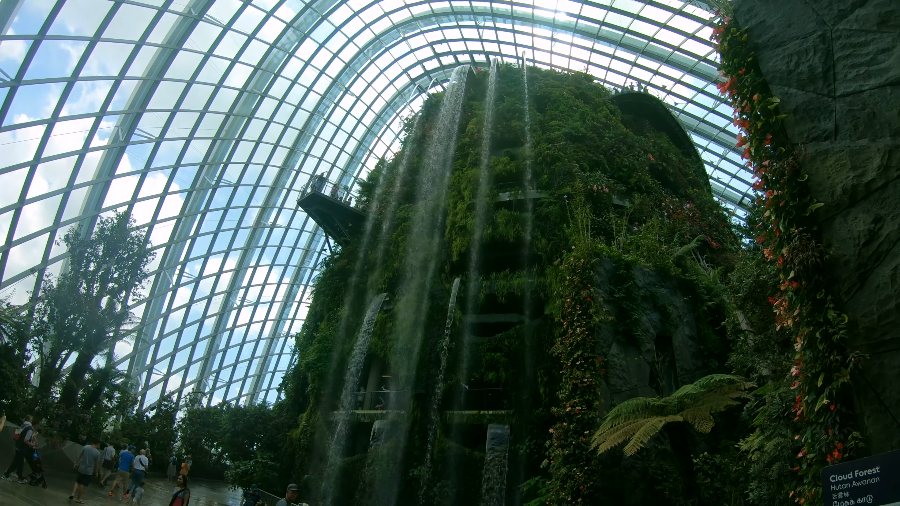 The waterfall pouring down the planted mountain inside the Cloud Forest dome