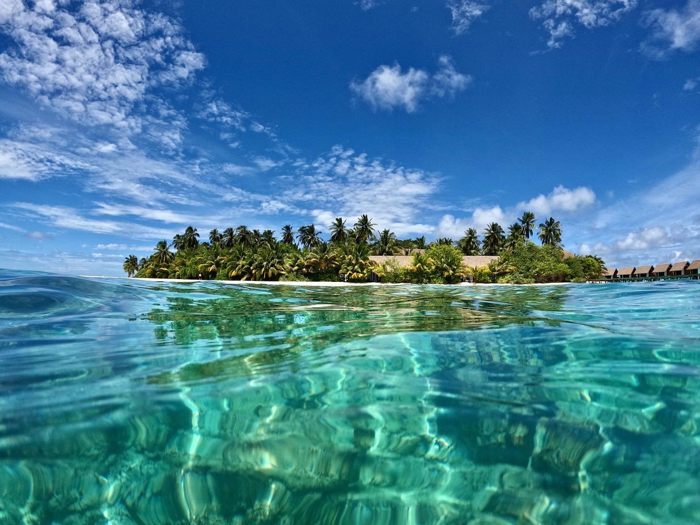 Kandolhu's palms and white beach seen from the turquoise water of its lagoon