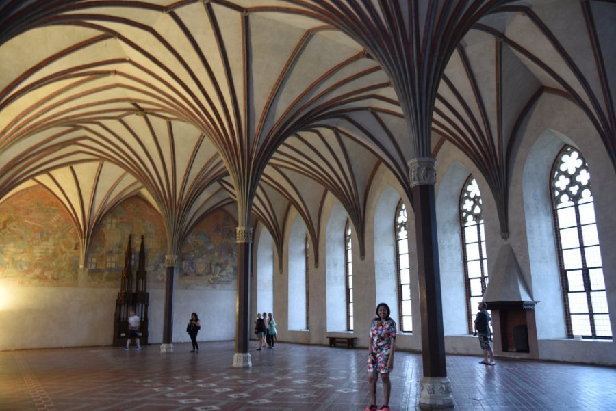Meenu in a great hall of the castle, its vaulted ceiling fanning out from slender pillars above tall windows