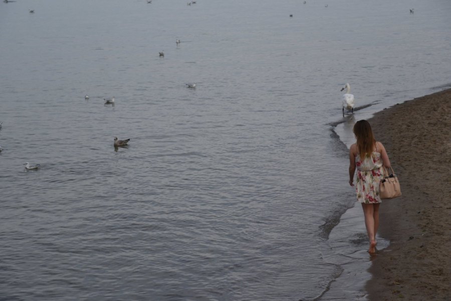 Meenu walking along the water's edge, with swans and ducks on the sea beside her