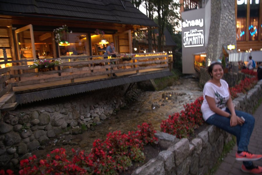 Meenu sitting on the wall above the stream on Krupówki, by red flowers and a wooden restaurant terrace