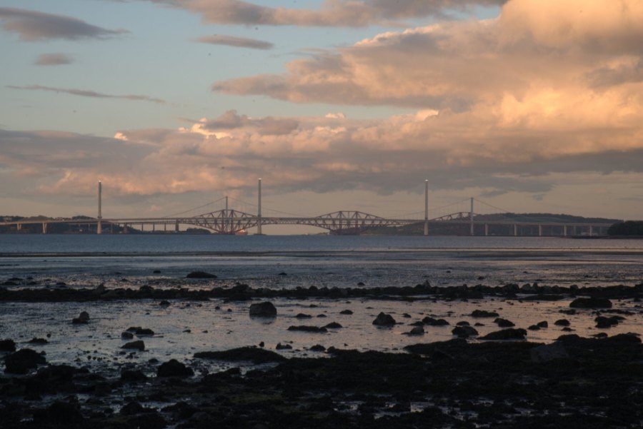 The three Forth bridges on the horizon under a pink evening sky, with rocks at low tide in front