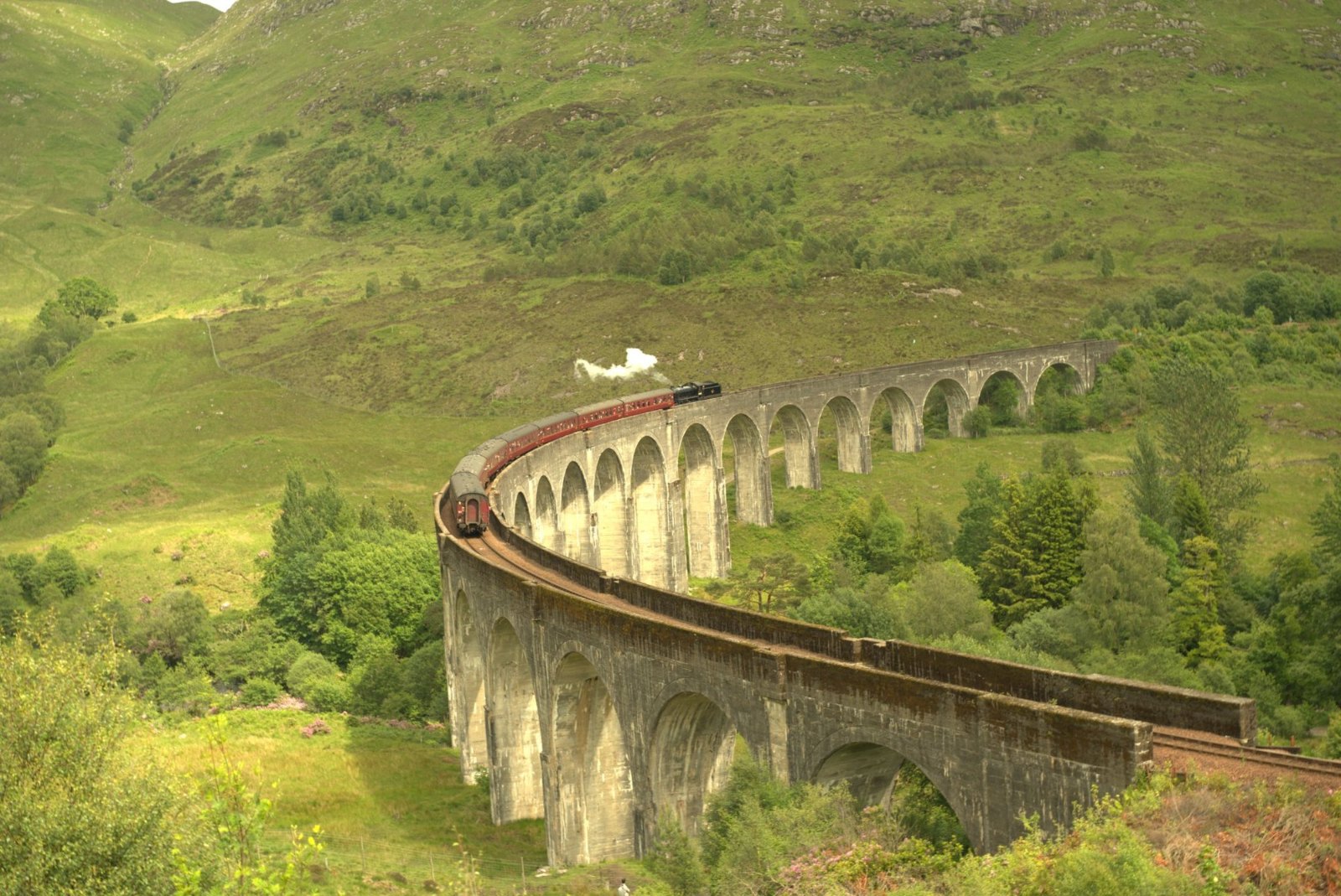 The steam train crossing the curve of the Glenfinnan Viaduct, trailing white smoke above the green glen