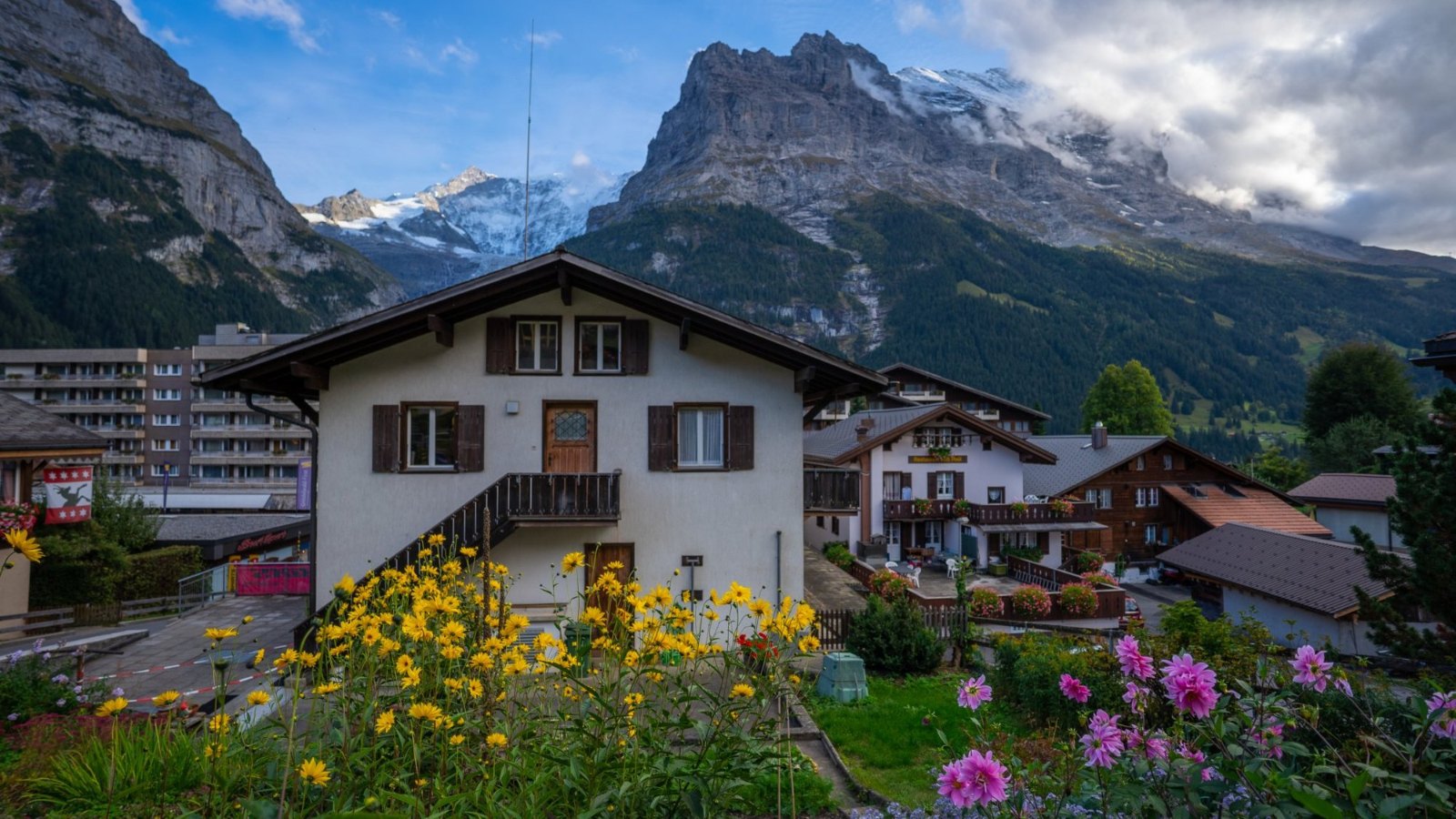 A white chalet behind a garden of yellow and pink flowers in Grindelwald, with a great rock peak rising behind
