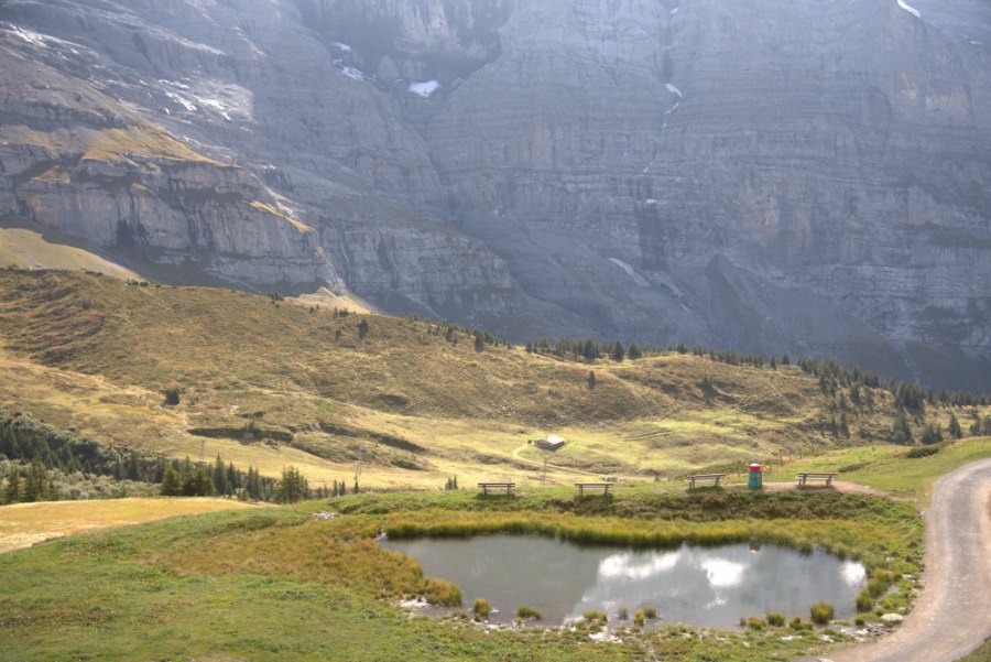 A small pond on the alp reflecting the clouds, below grey cliffs